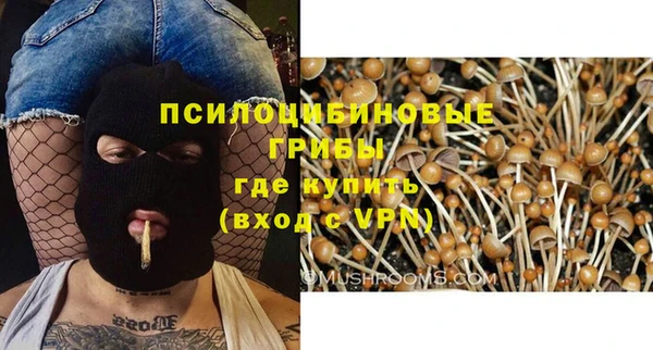 СК Балахна