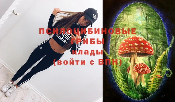 СК Балахна