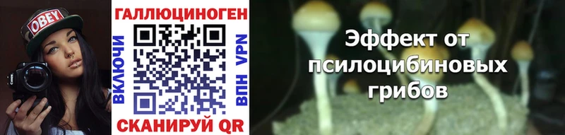 Галлюциногенные грибы Psilocybine cubensis  кракен маркетплейс  Белогорск 